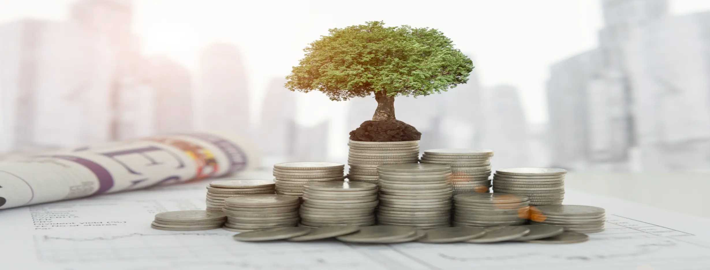 Image for Symbolic Investment